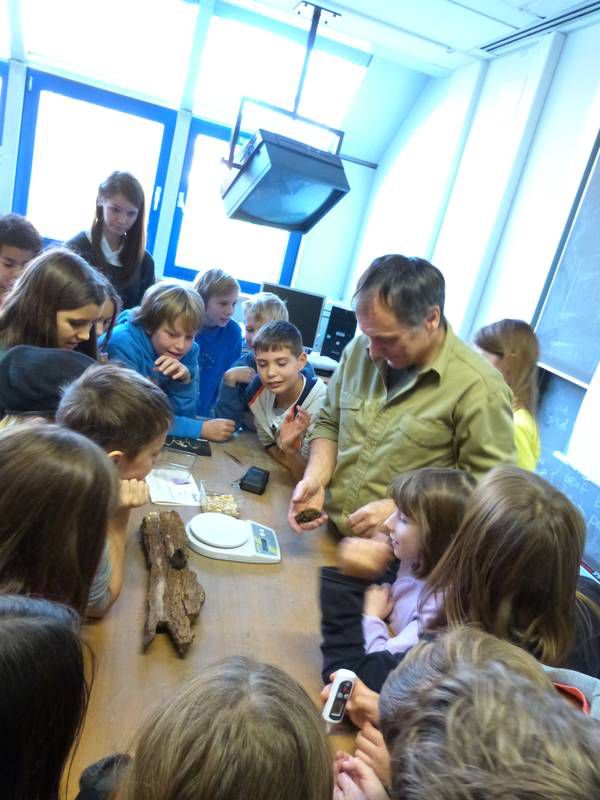 Die Schülerinnen und Schüler werden selbst zu kleinen Fledermausforschern, die wiegen, messen und die Temperatur beim Aufwachen verfolgen.